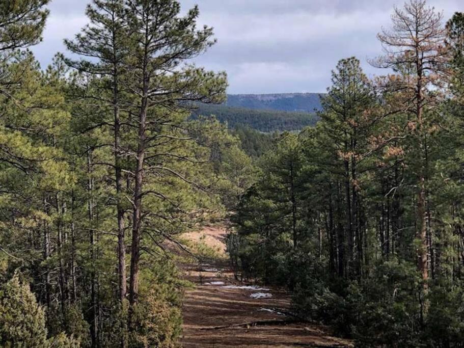 Forest Cabin 2 Birds Nest Payson Exterior foto